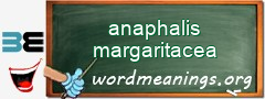 WordMeaning blackboard for anaphalis margaritacea